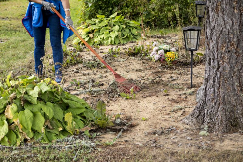 Contact About Pasture Clearing